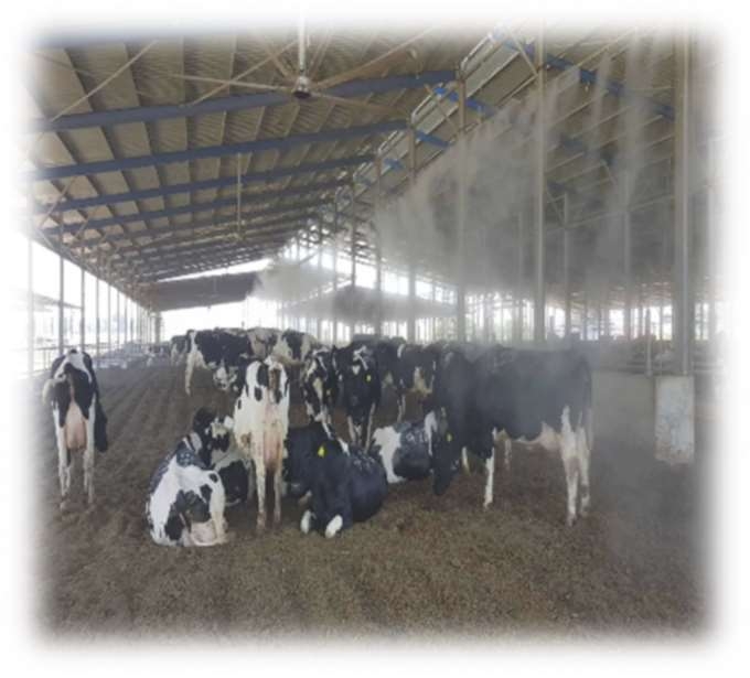 dairy pre-cooling misting system South Africa